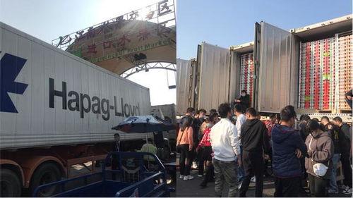 国产大型囤货现场视频下载,壮观囤货景象引热议