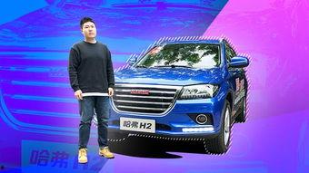 国产h2视频上路了吗最新,新能源时代的新篇章