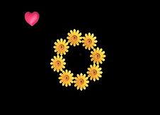 国产免费向日葵视频,畅享视觉盛宴的云端乐园